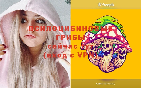 mdpv Верхний Тагил